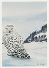 Snow time